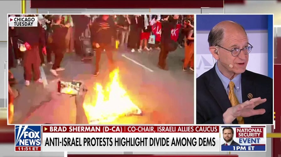 California Dem reacts to division over anti-Israel protests: Hamas 'is against an immediate cease-fire'