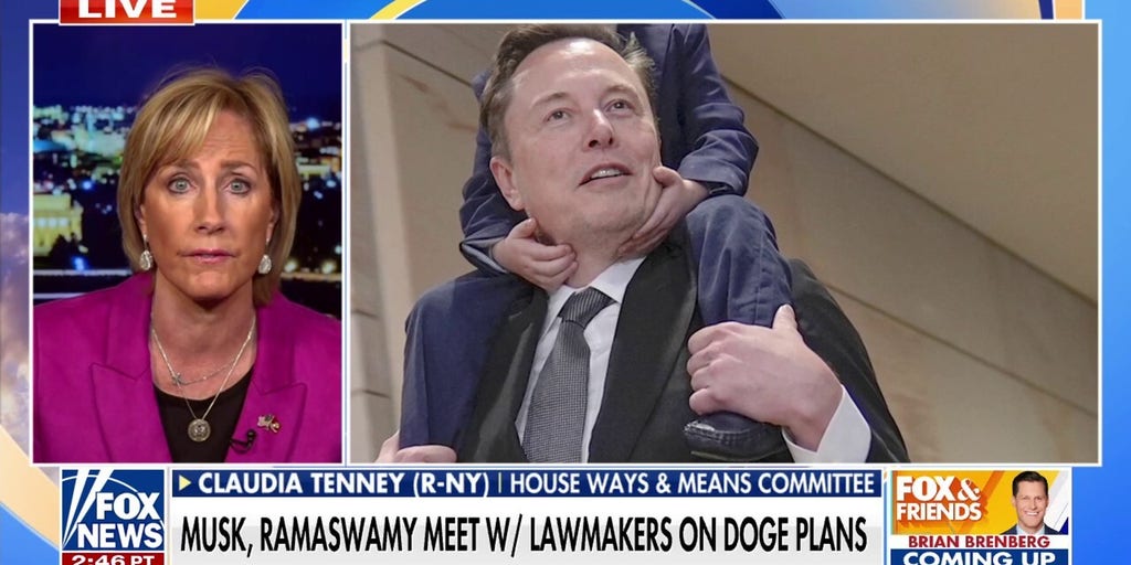 GOP lawmaker touts 'incredible' meeting with Musk, Ramaswamy on DOGE plans