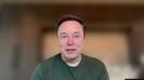 Elon Musk calls Waymo robotaxis ‘pet destroyers’