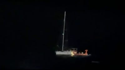 Cruise ship rescues stranded sailor and his cat in Gulf drama