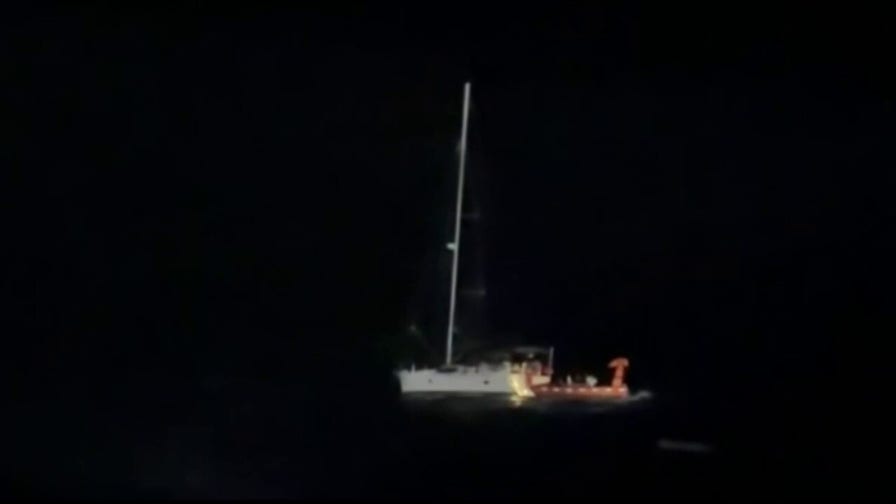 Cruise ship rescues stranded sailor and his cat in Gulf drama