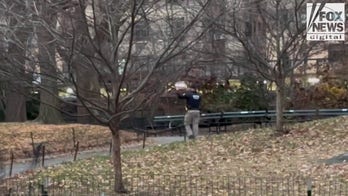 Police search Central Park for evidence in the shooting death of CEO Brian Thompson