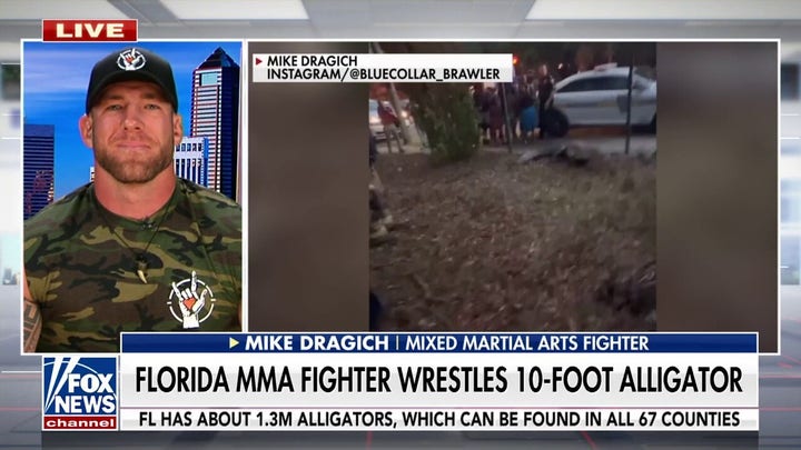 Florida MMA fighter wrestles 10-foot alligator 