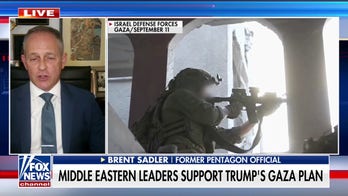 Ex-Pentagon official on Israel: Fighting a war with an adversary is not ‘genocide’