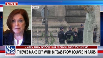 Planning for daylight heist at the Louvre likely went back months if not years, says ex-FBI special agent