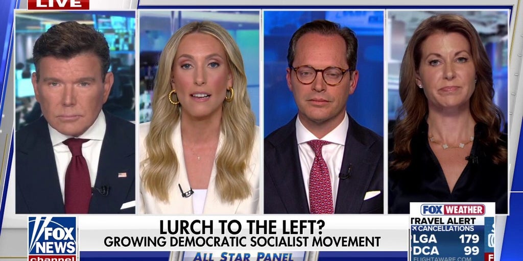 Democratic socialist candidates not Democrats, but 'parasites' feeding off party, Dem strategist says