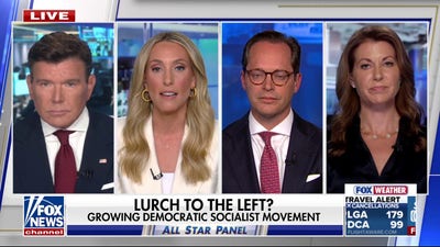 Democratic socialist candidates not Democrats, but parasites feeding off party, Dem strategist says