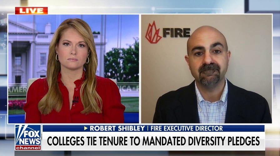 Education activist calls D.E.I. requirements at universities ‘political litmus tests’