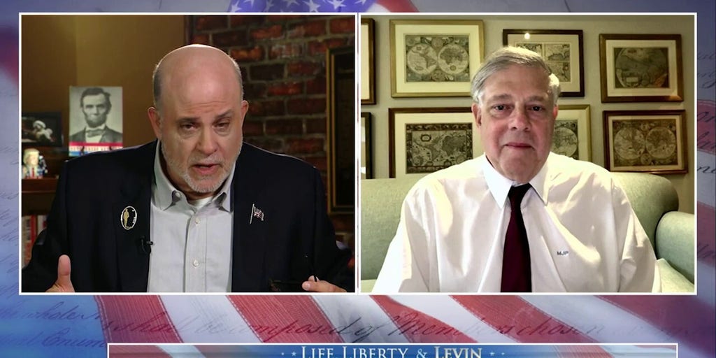 Moderate voices within Democratic Party have been ‘silenced,’ says Mark Penn