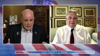 Moderate voices within Democratic Party have been ‘silenced,’ says Mark Penn