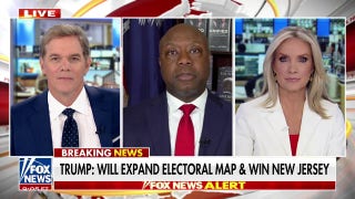 Tim Scott: Trump getting 20% of the Black vote would 'decimate' the Democrat Party - Fox News