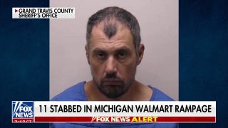 Michigan Walmart stabbing suspect’s mugshot released