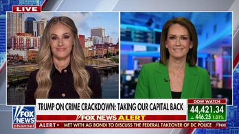 Trump wants to step in to make a city of mostly Democrats feel more secure, Tomi Lahren says