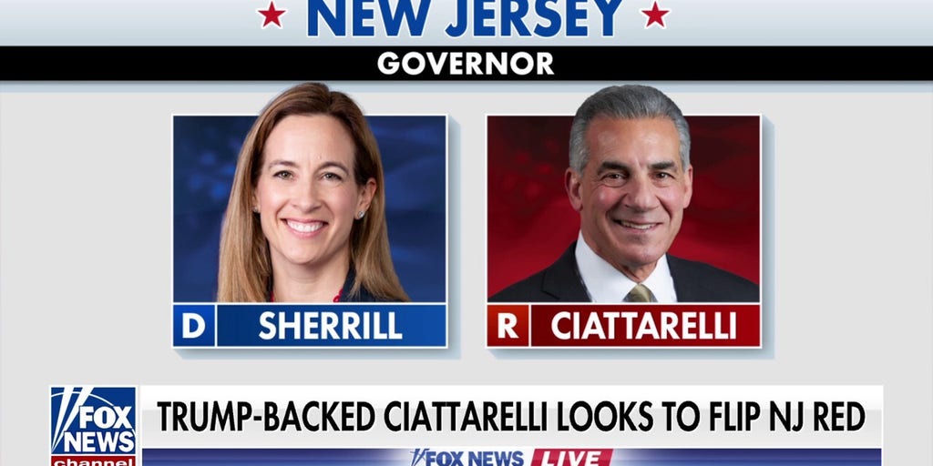 Key governor elections in New Jersey and Virginia just two months away