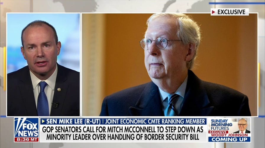 Sen. Mike Lee: Republicans are not 'part of some feudal system'
