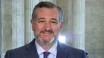 Ted Cruz: Too many Senate Republicans are willing to 'rubber stamp' Democrat spending