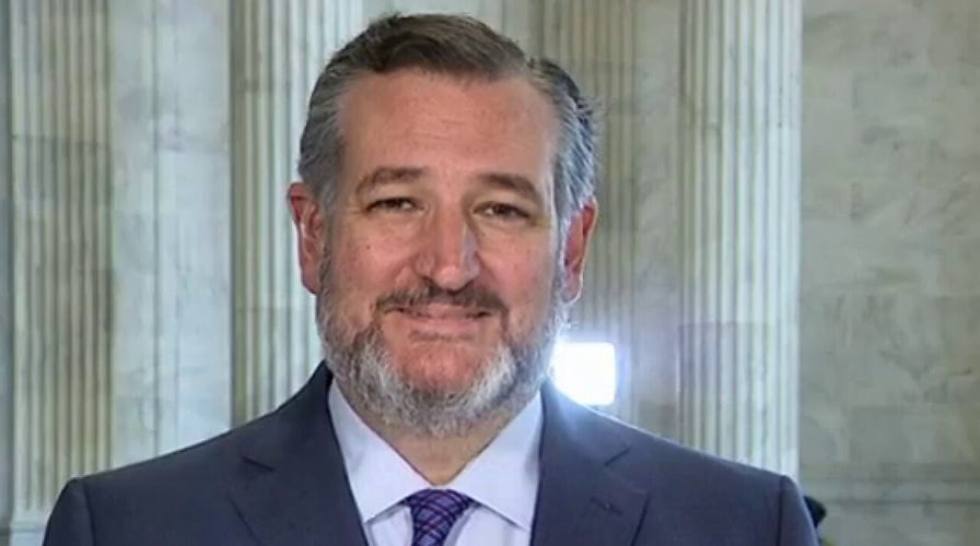 Ted Cruz: Too many Senate Republicans are willing to 'rubber stamp' Democrat spending