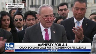 Schumer flip-flops on amnesty and illegal immigration - Fox News