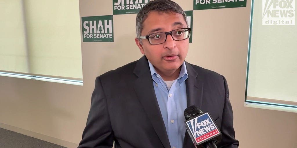 Democratic Senate candidate in Maine Nirav Shah, following Monday’s ICE shooting, says that ‘ICE needs to be abolished’