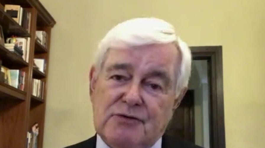 Newt Gingrich: Can Biden motivate the Bernie wing of the Democrat party?