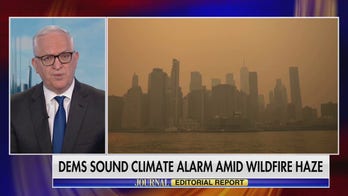 No, climate change alone doesn't cause forest fires