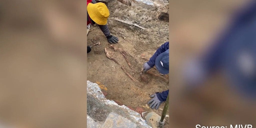 Medieval skeletons found in heart of Brussels during archaeological excavation