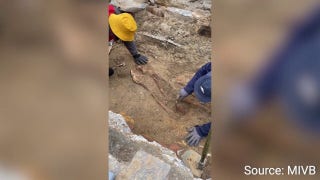 Medieval skeletons found in heart of Brussels during archaeological excavation