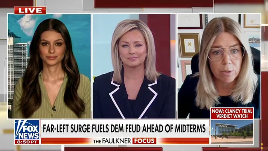 Democratic strategist: The Democratic Party has failed to be responsive to its own base