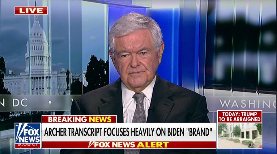 Newt Gingrich: The Justice Department has ‘gone crazy’ 