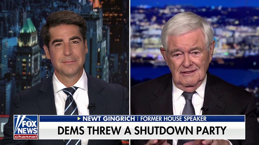 This is the 'Schumer Shutdown,' says Newt Gingrich
