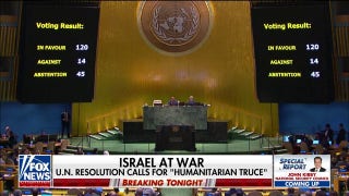 UN resolution calls for humanitarian truce - Fox News