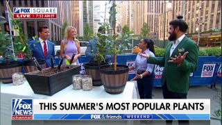 Lifestyle experts break down this summer’s trendiest plants - Fox News
