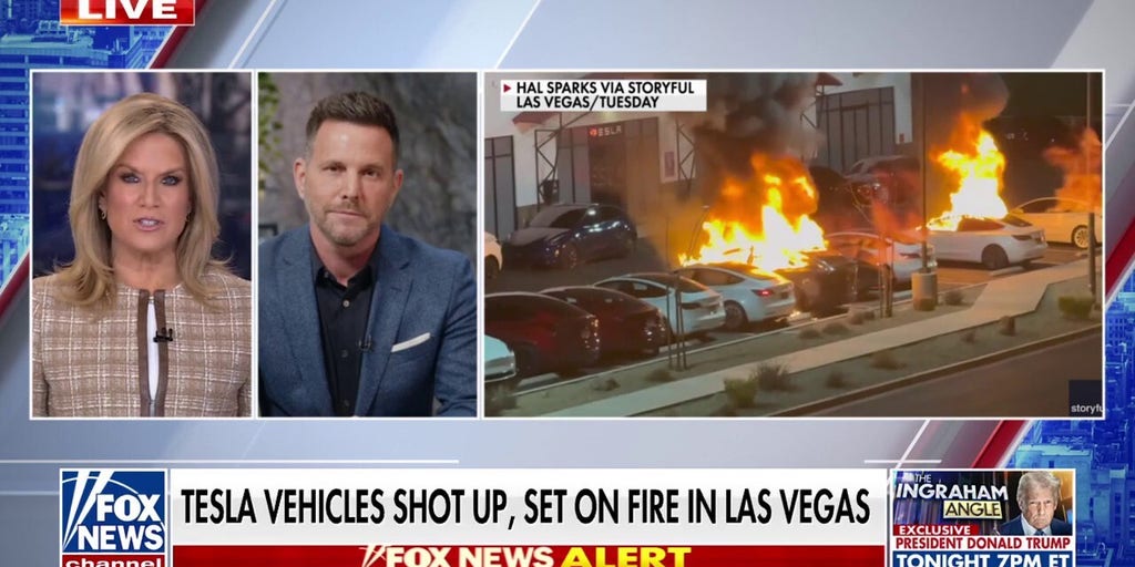 Dave Rubin: Every American should be looking at Elon Musk as an ‘absolute hero’