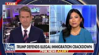 Court blocks Trump’s expedited removals of illegal migrants