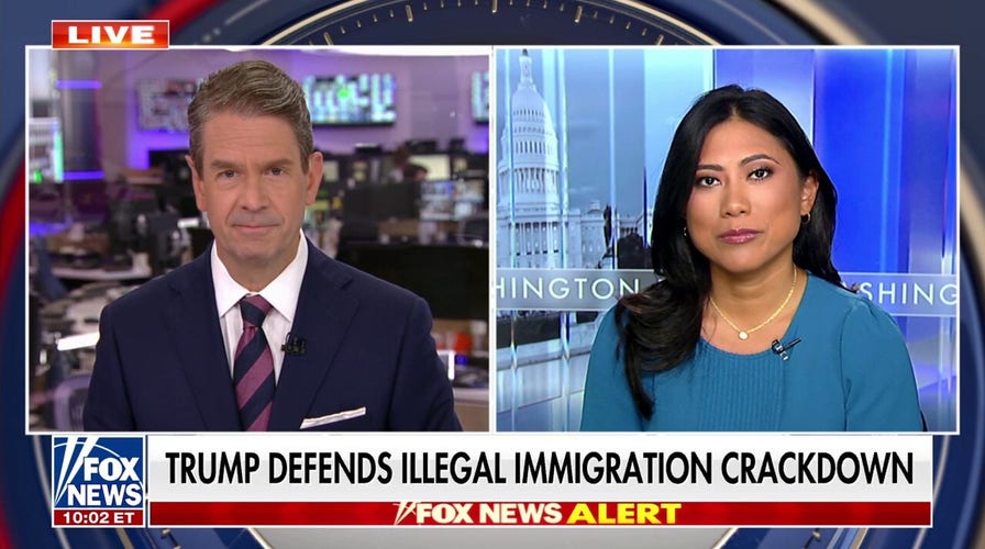 Court blocks Trump’s expedited removals of illegal migrants