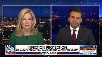 Antibodies present up to 21 months after COVID infection: Study 