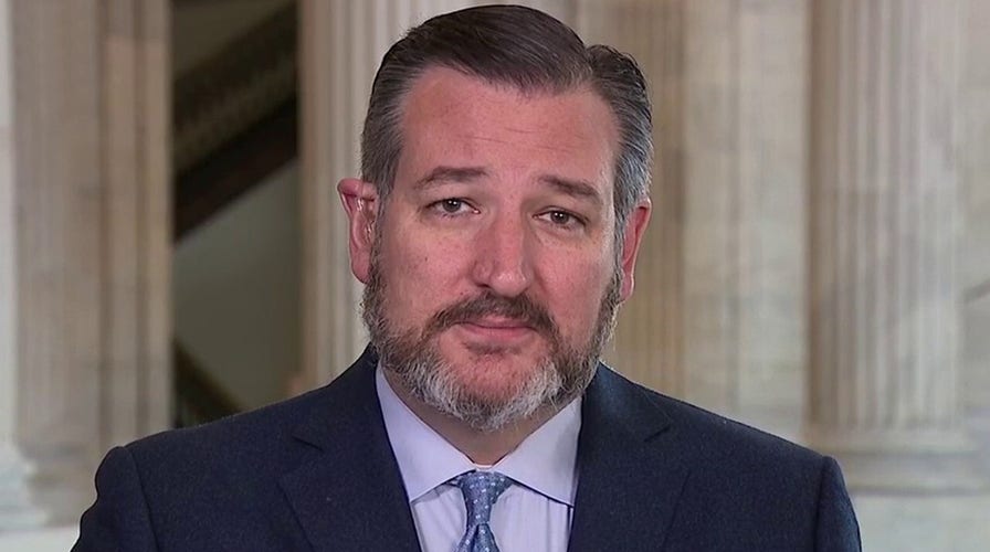 Sen. Cruz on coronavirus, how Senate should handle Schumer's 'judicial intimidation'
