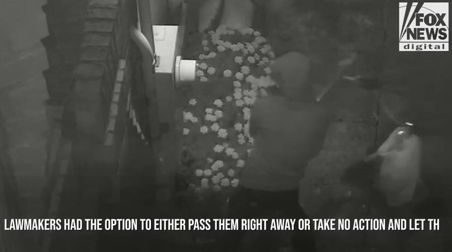 Fox News Digital Originals Headlines 