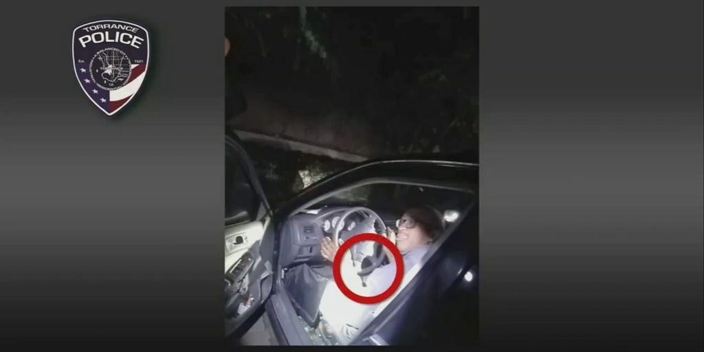 Torrance police officials explain 2018 officer involved shooting Fox News Video