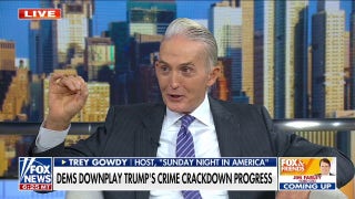Trey Gowdy blasts Democrats on public safety, warns 'crime is a tax on the poor'
