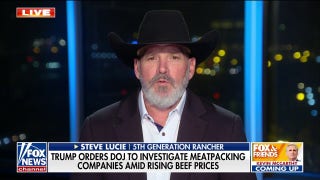 Fifth generation farmer says ‘there’s no competition’ as meat packing companies dominate industry