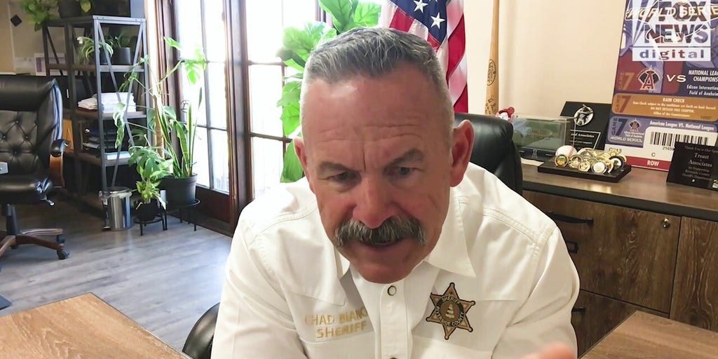 CA Sheriff rips activist groups impending ICE efforts in Los Angeles