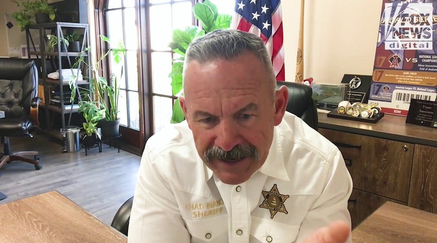 CA sheriff rips activist groups' impending ICE efforts in Los Angeles