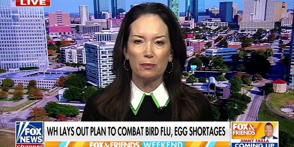Trump official assures solution for egg shortages but says there's 'no short-term fix'