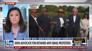 Un senador Florida Florida denuncia a los demócratas por apoyar a manifestantes Israel y a un sospechoso de la MS-13 deportado