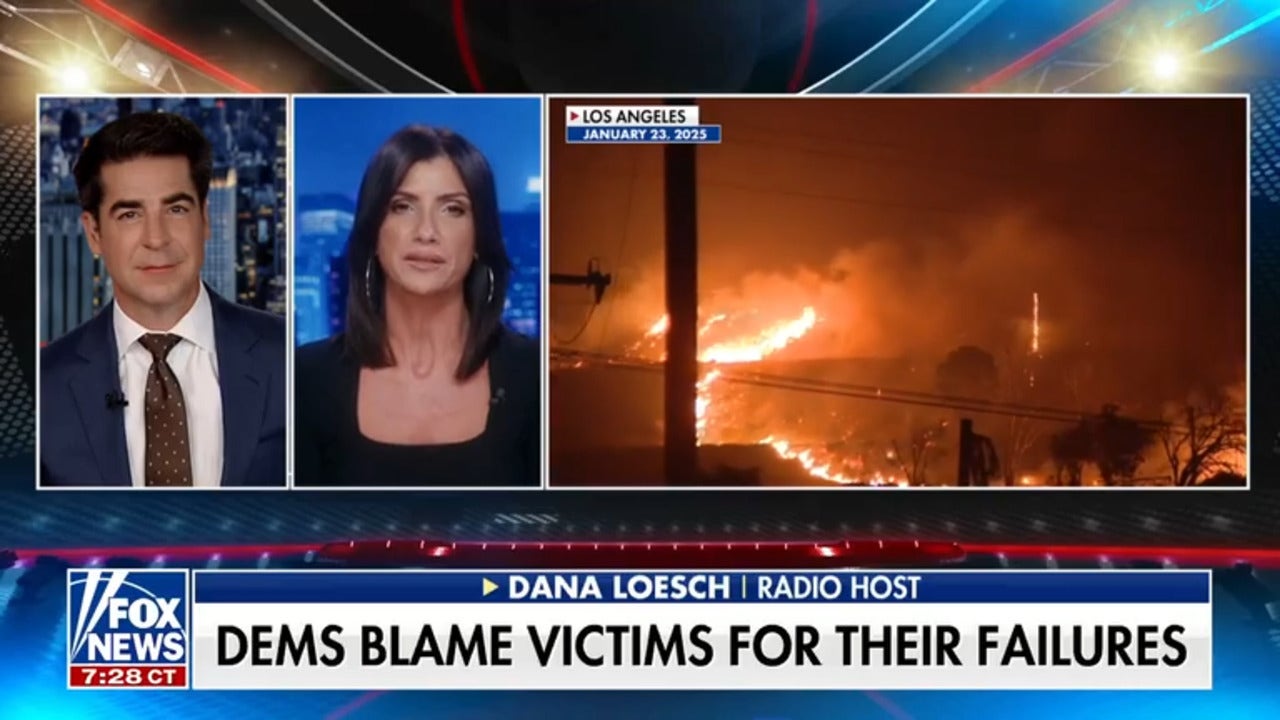 Dana Loesch: This ends up backfiring