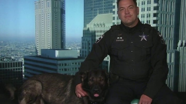 Fox Nation’s ‘Hero Dogs’ highlights decorated sheriff’s K9 Dax