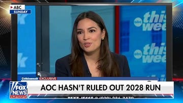 The Democratic Party is in a 'crisis': Former Democratic megadonor