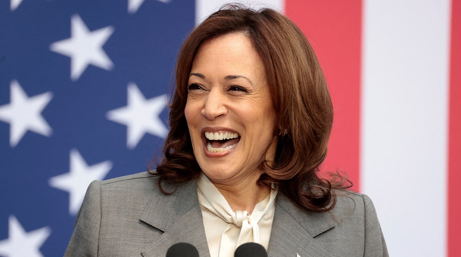 WATCH LIVE: VP Harris addresses supporters at rally in key battleground state