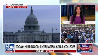 Congress holds hearing on antisemitism as pro-Israel rally garners nearly 300,000 attendees - Fox News